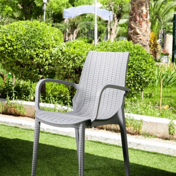 Chaise Rattan Avec Accoudoirs | Marque Ferdi
